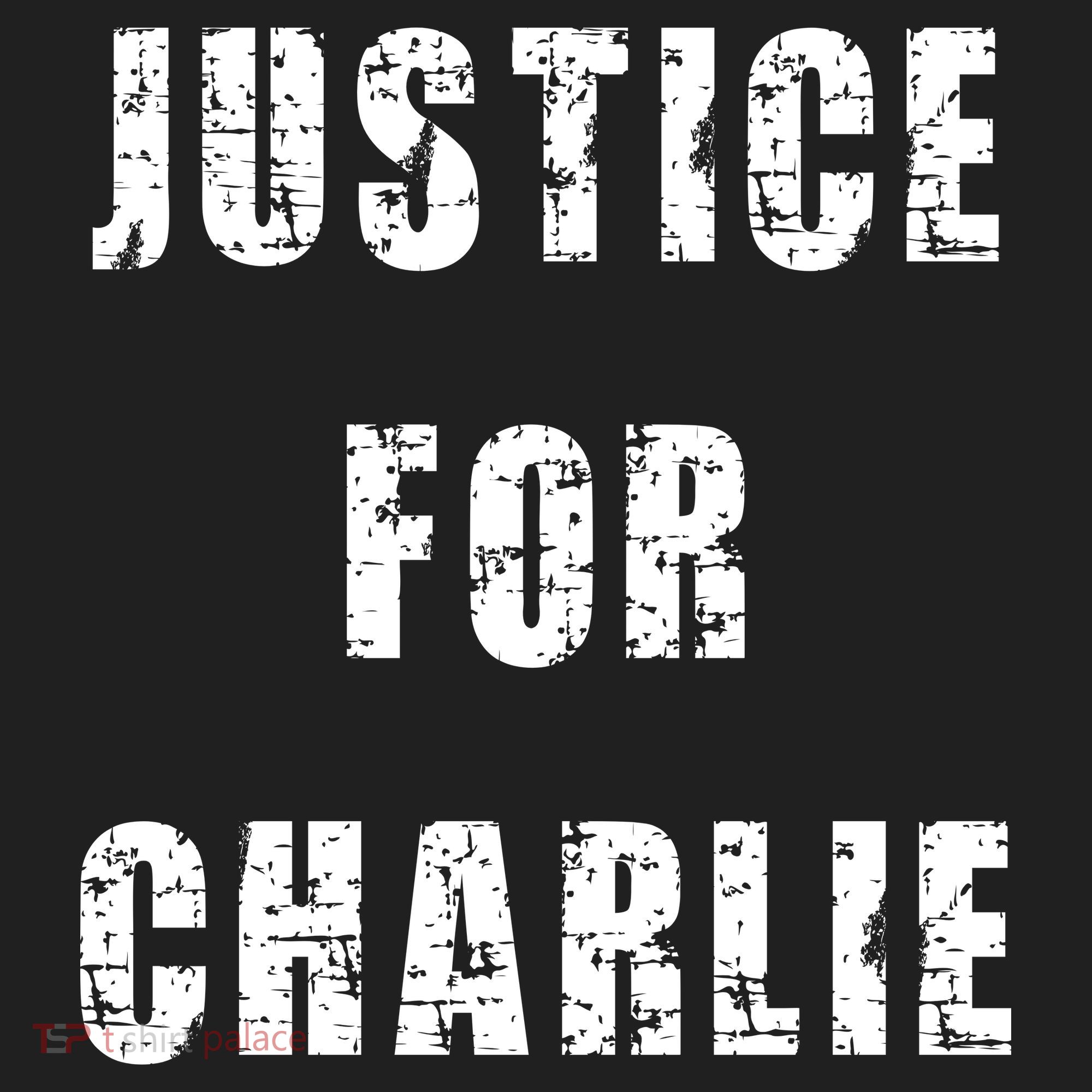 Justice For Charlie Kirk Beanie