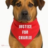 Justice For Charlie Kirk USA-Made Doggie Bandana thumb 1