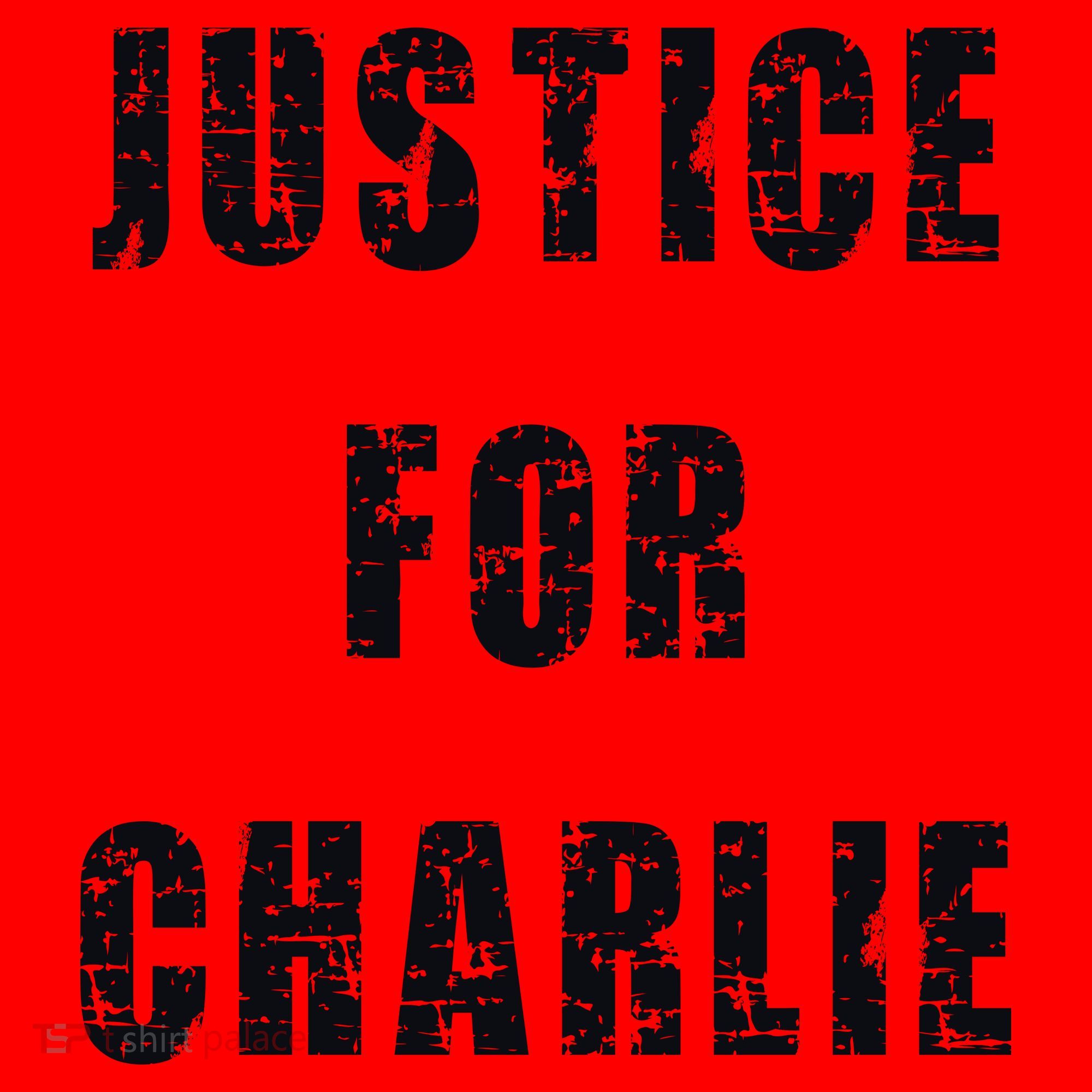 Justice For Charlie Kirk Santa Hat
