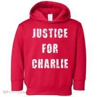 Justice For Charlie Kirk Toddler Hoodie thumb 0