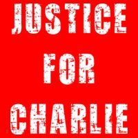 Justice For Charlie Kirk Toddler T-Shirt thumb 4