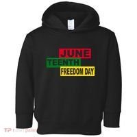 Juneteenth Freedom Day Toddler Hoodie thumb 0