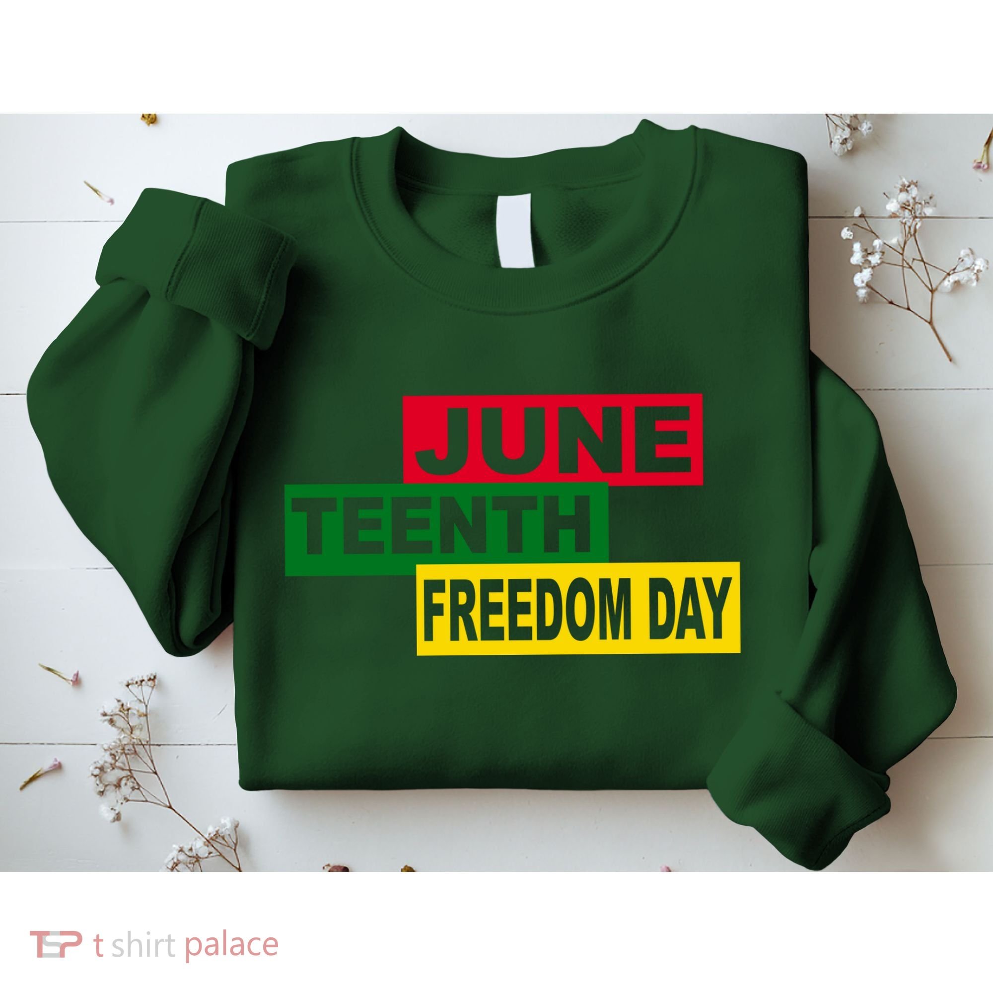 Juneteenth Freedom Day Sweatshirt