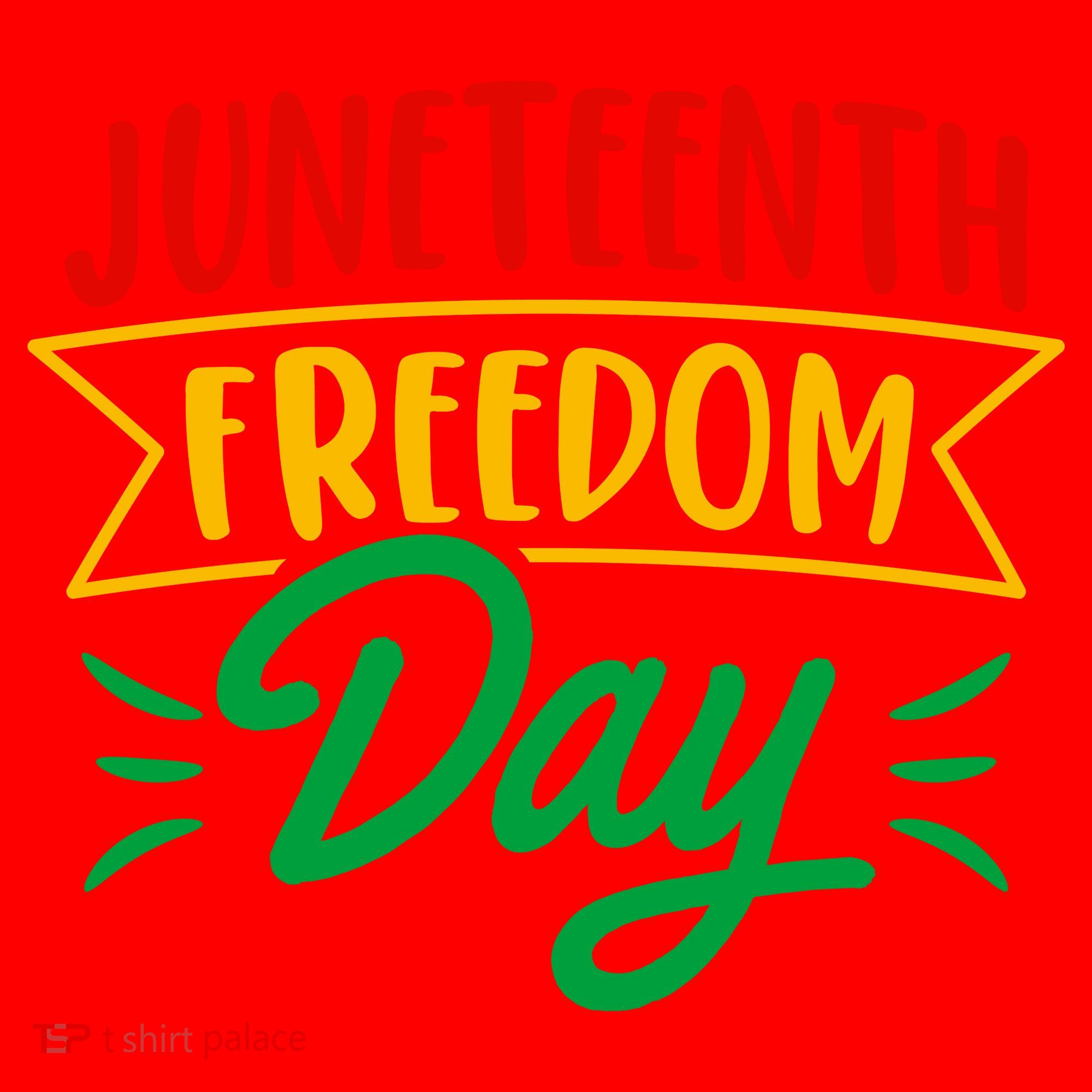 Juneteenth Freedom Day Celebration Santa Hat