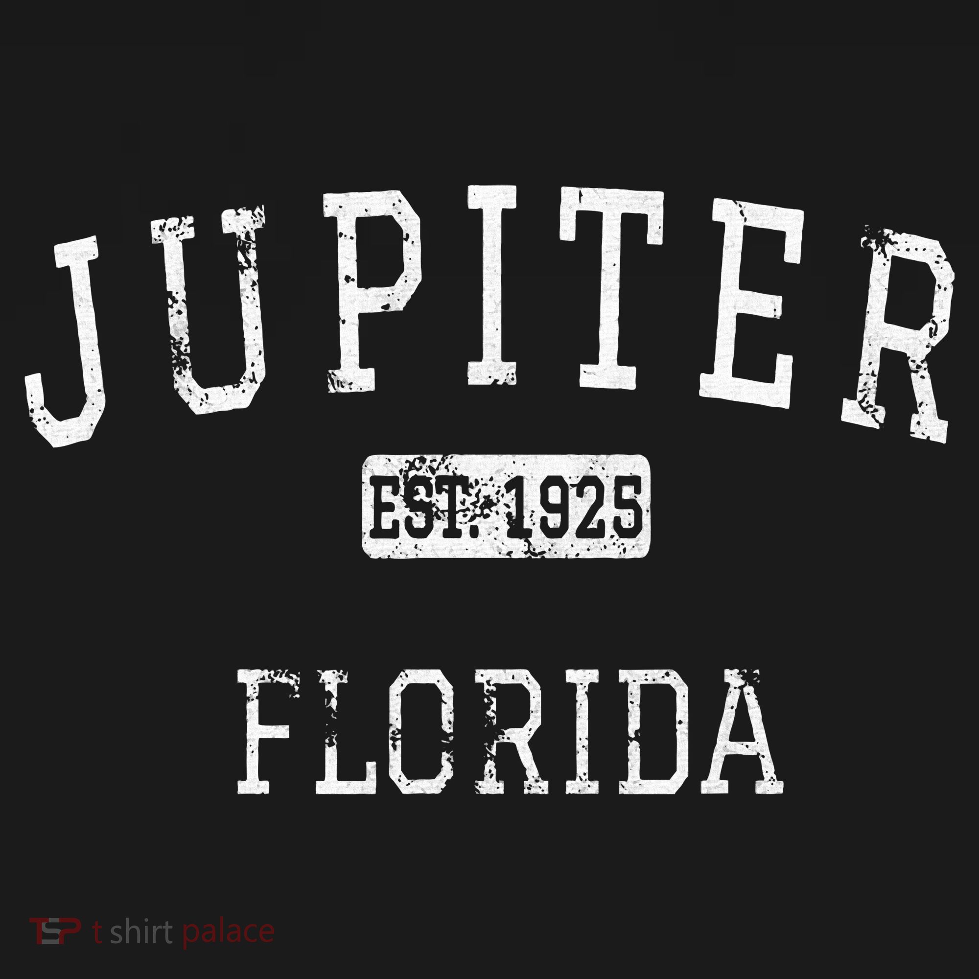 Jupiter Florida Fl Vintage T-Shirt