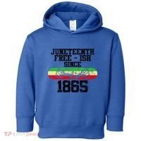 Junenth Free Ish Since 1865 Gift Toddler Hoodie thumb 0