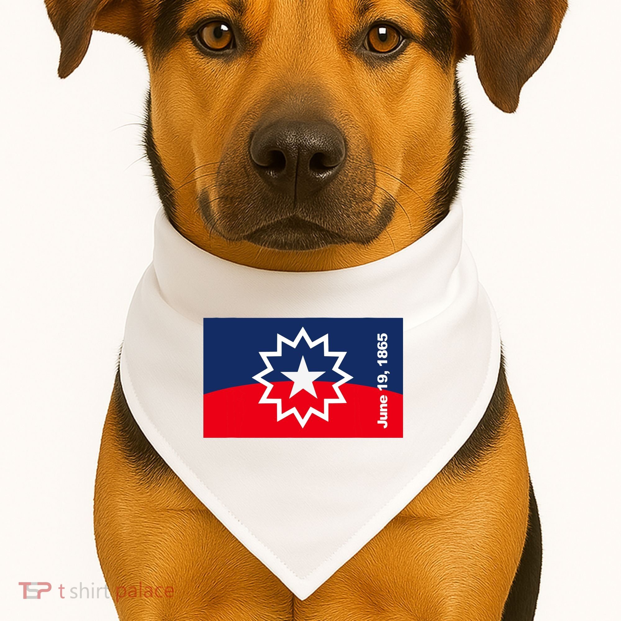 Juneteenth Flag USA-Made Doggie Bandana