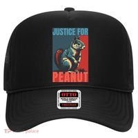 Justice For Peanut The Squirrel Peanut Squirrel Hat thumb 0