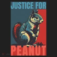 Justice For Peanut The Squirrel Peanut Squirrel Hat thumb 2