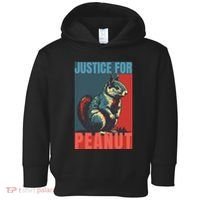 Justice For Peanut The Squirrel Peanut Squirrel Toddler Hoodie thumb 0