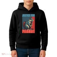 Justice For Peanut The Squirrel Peanut Squirrel Kids Hoodie thumb 4