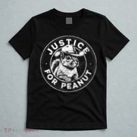 Justice For Peanut The Squirrel P’Nut Pnut Peanut Squirrel T-Shirt thumb 5