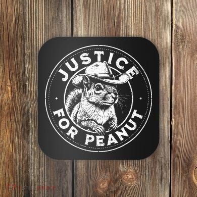 Justice For Peanut The Squirrel P’Nut Pnut Peanut Squirrel Coaster