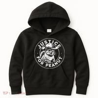 Justice For Peanut The Squirrel P’Nut Pnut Peanut Squirrel Kids Hoodie thumb 0