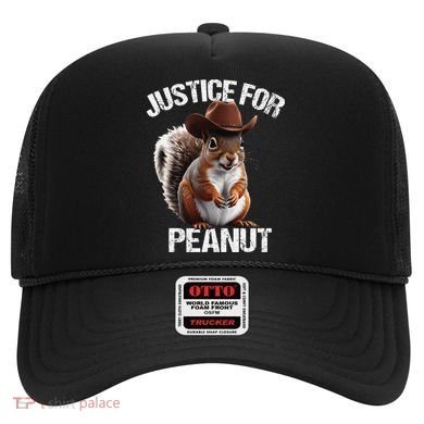 Justice For Peanut The Squirrel Peanut Squirre Hat