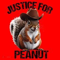 Justice For Peanut The Squirrel Peanut Squirre Santa Hat thumb 1
