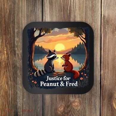 Justice For Peanut And Fred Peanut Squirrel Fred Raccoon Coaster