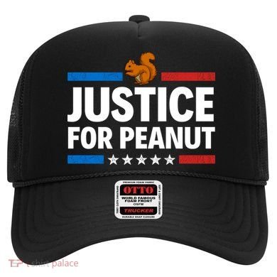 Justice For Peanut The Squirrel Hat
