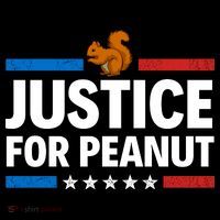 Justice For Peanut The Squirrel Women's Long Sleeve Shirt thumb 2