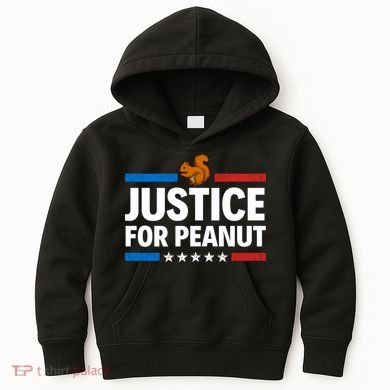 Justice For Peanut The Squirrel Kids Hoodie