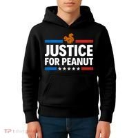 Justice For Peanut The Squirrel Kids Hoodie thumb 4