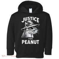 Justice For Peanut The Squirrel P’Nut Pnut Peanut Squirrel Toddler Hoodie thumb 0