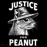 Justice For Peanut The Squirrel P’Nut Pnut Peanut Squirrel Tank Top thumb 6