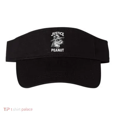 Visor