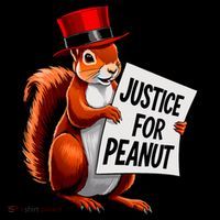 Justice For Peanut The Squirrel Peanut Squirrel Coaster thumb 2