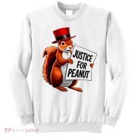 Justice For Peanut The Squirrel Peanut Squirrel Sweatshirt thumb 0