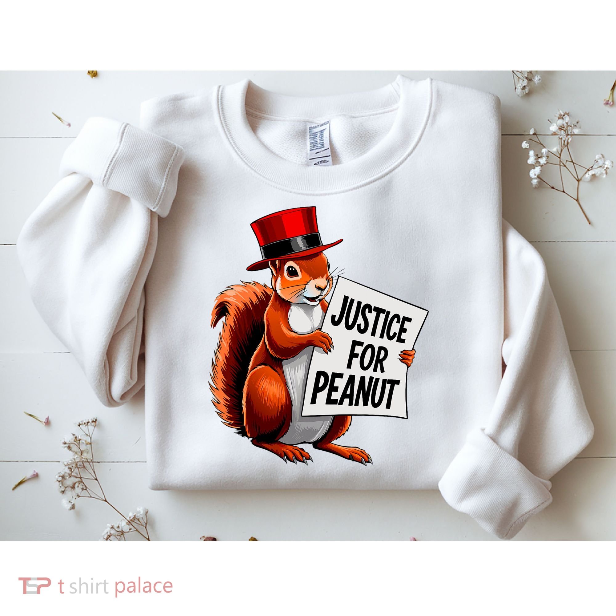 Justice For Peanut The Squirrel Peanut Squirrel Sweatshirt