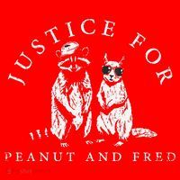 Justice For Peanut And Fred Animal Rights Activism Santa Hat thumb 1