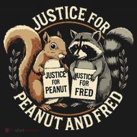 Justice For Peanut And Fred Peanut Squirrel Fred Raccoon Toddler Hoodie thumb 2