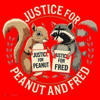 Justice For Peanut And Fred Peanut Squirrel Fred Raccoon Santa Hat thumb 1