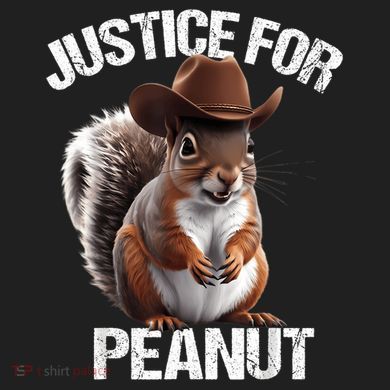 Justice For Peanut The Squirrel Peanut Squirrel Crop Fleece Hoodie