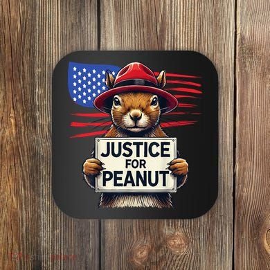 Justice For Peanut The Squirrel Coaster