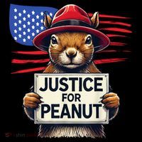 Justice For Peanut The Squirrel Toddler Hoodie thumb 2