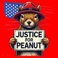 Justice For Peanut The Squirrel Santa Hat thumb 1