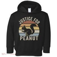 Justice For Peanut The Squirrel The Squirrel Pnut Toddler Hoodie thumb 0