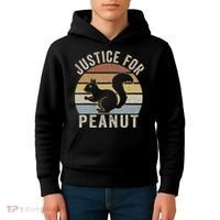 Justice For Peanut The Squirrel The Squirrel Pnut Kids Hoodie thumb 4