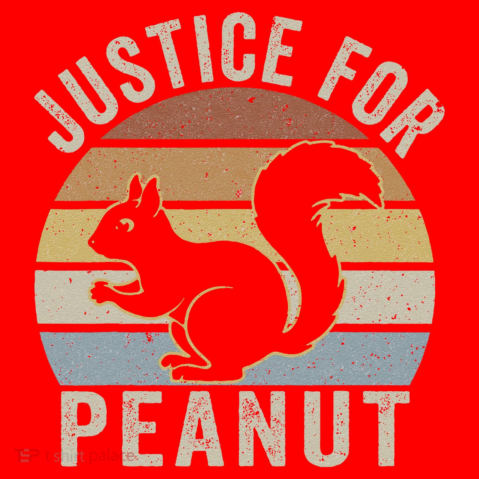 Justice For Peanut The Squirrel The Squirrel Pnut Santa Hat
