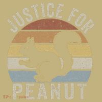 Justice For Peanut The Squirrel The Squirrel Pnut Hoodie thumb 7