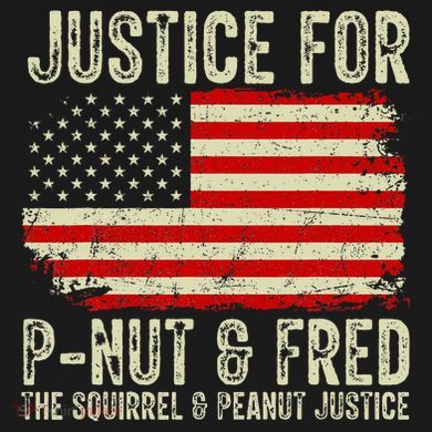 Justice For P Nut And Fred The Squirrel And Peanut Justice Women's Flannel Pajama Set