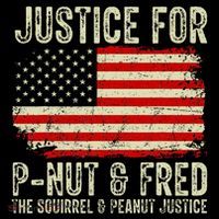 Justice For P Nut And Fred The Squirrel And Peanut Justice Women's T-Shirt thumb 6