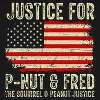 Justice For P Nut And Fred The Squirrel And Peanut Justice Kids T-Shirt thumb 4