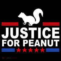 Justice For Peanut The Squirrel 2024 Button thumb 1
