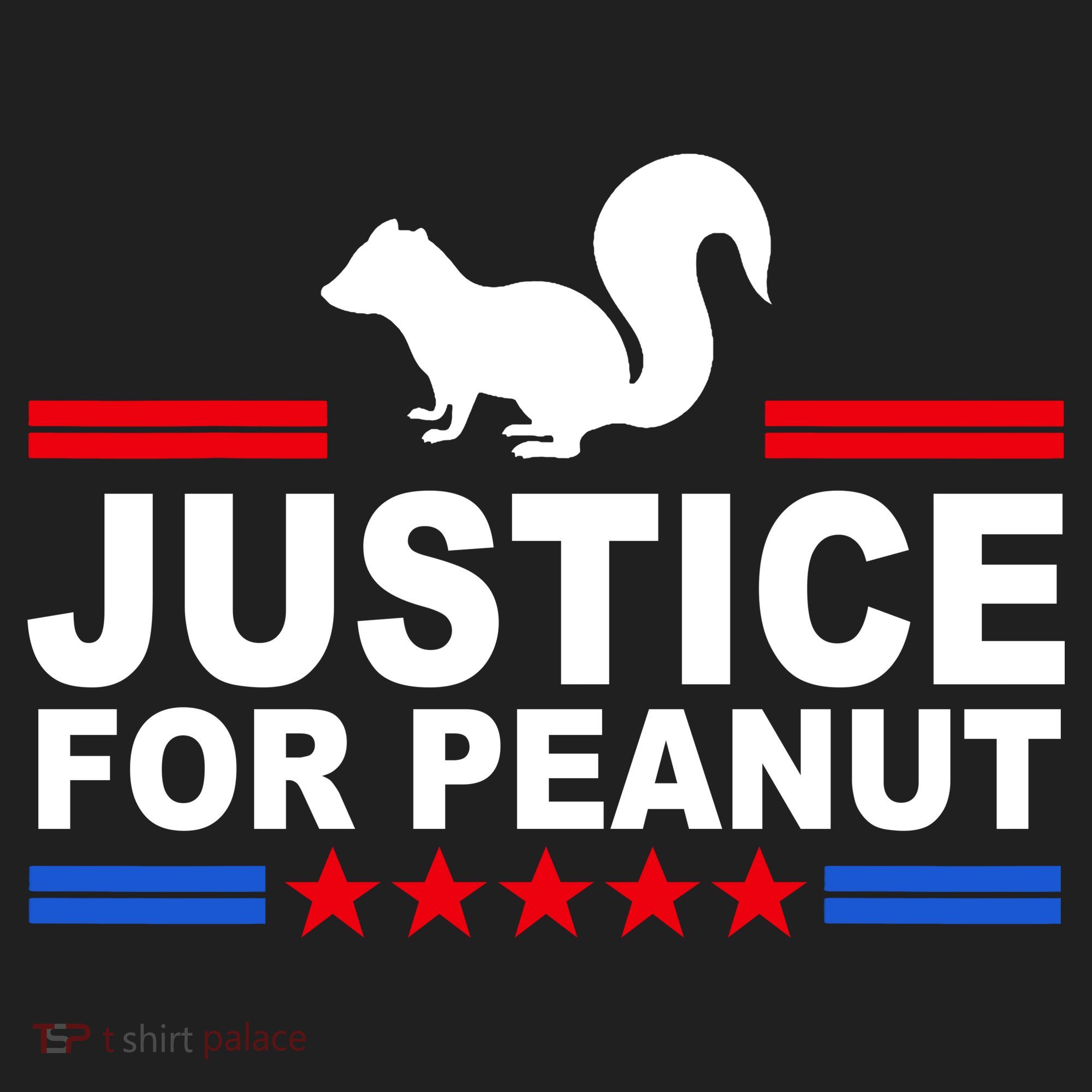 Justice For Peanut The Squirrel 2024 Beanie