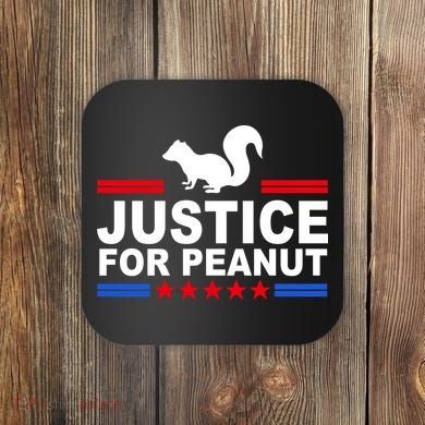 Justice For Peanut The Squirrel 2024 Coaster