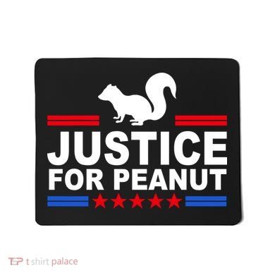 Justice For Peanut The Squirrel 2024 Mousepad