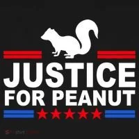 Justice For Peanut The Squirrel 2024 Ornament thumb 1
